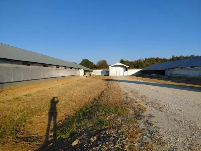 🔥 BÁN TRẠI GÀ TRỨNG QUY MÔ ĐẸP – TÀI SẢN XÂY MỚI 4 NĂM – VỊ TRÍ TRUNG TÂM GIỮA 3 THÀNH PHỐ LỚN 🔥